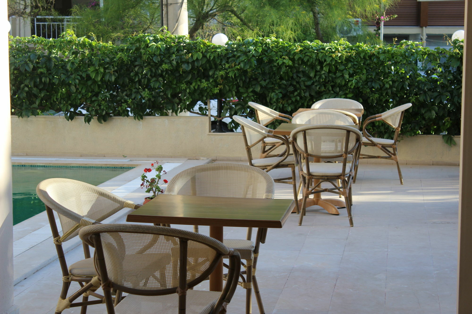 Hotel Adonis